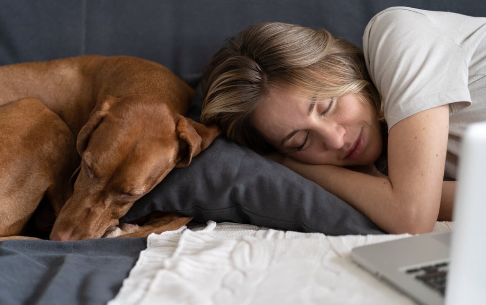 A woman takes a nap next to her dog and laptop.