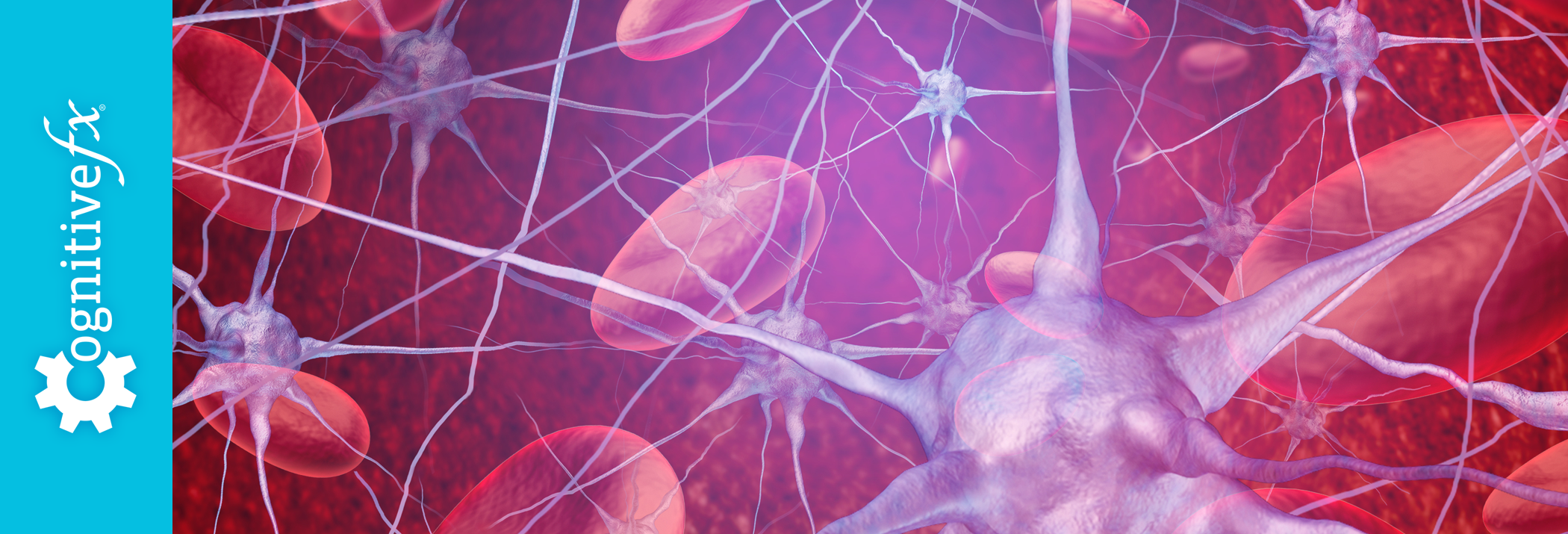 What is NeuroVascular Coupling