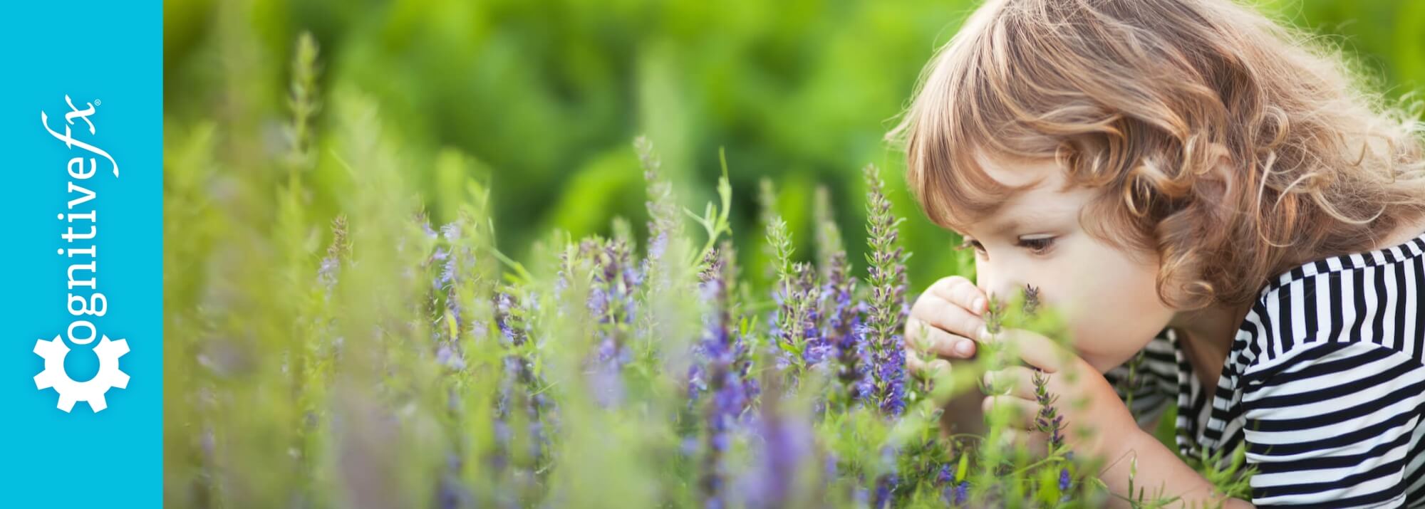 How to Regain Your Sense of Smell & Taste After Head Injury